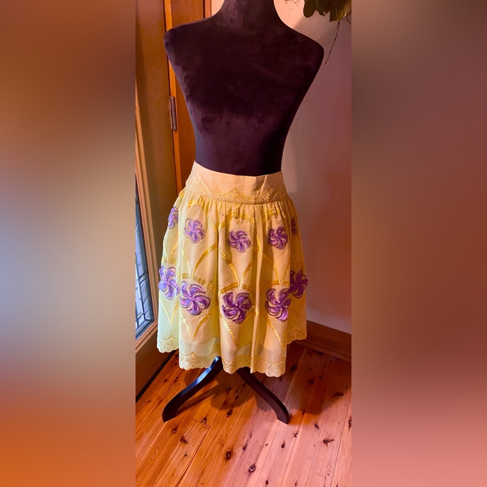 Beautiful & Unique Fully Lined Embroidered Skirt - image 1